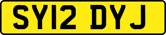 SY12DYJ