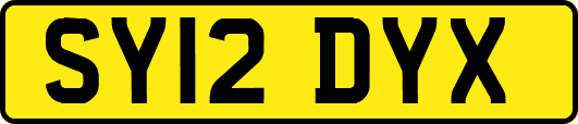 SY12DYX