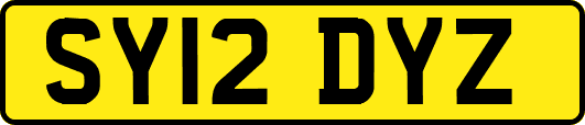 SY12DYZ