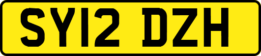 SY12DZH