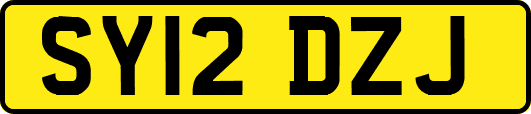 SY12DZJ