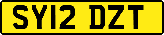 SY12DZT