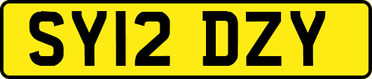 SY12DZY