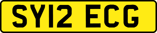 SY12ECG
