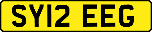 SY12EEG