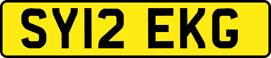 SY12EKG