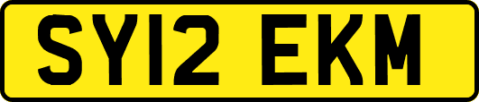 SY12EKM