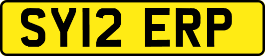 SY12ERP
