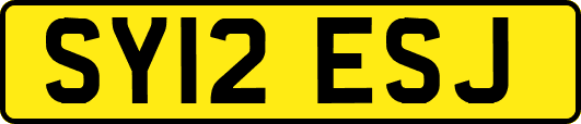 SY12ESJ