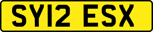 SY12ESX
