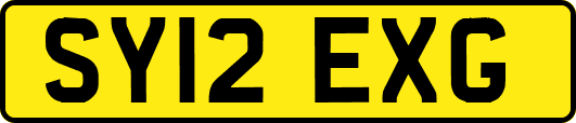 SY12EXG