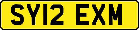 SY12EXM