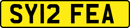 SY12FEA