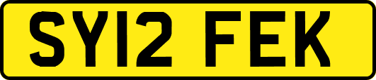 SY12FEK