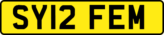 SY12FEM