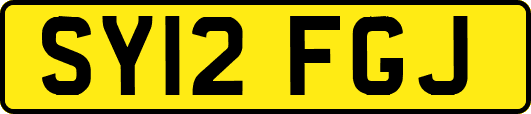 SY12FGJ