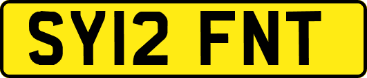 SY12FNT