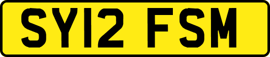 SY12FSM