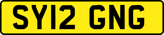 SY12GNG