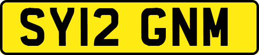 SY12GNM