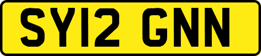 SY12GNN
