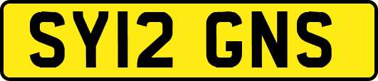 SY12GNS