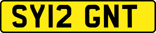 SY12GNT