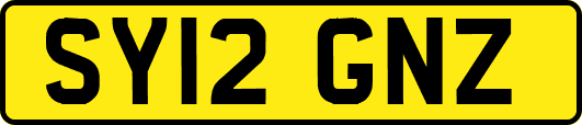 SY12GNZ