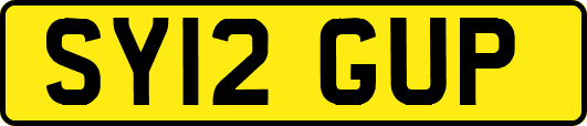 SY12GUP