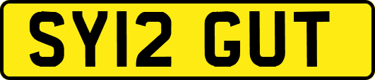 SY12GUT