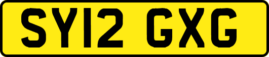 SY12GXG