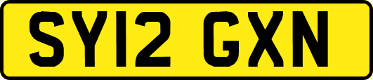 SY12GXN