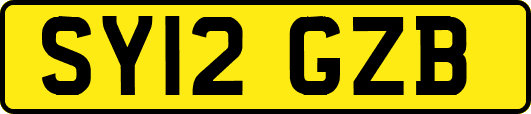 SY12GZB