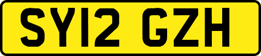 SY12GZH