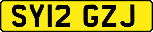 SY12GZJ