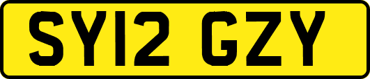 SY12GZY