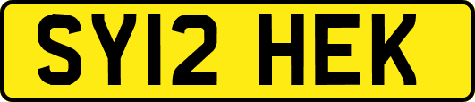 SY12HEK