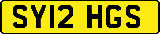 SY12HGS