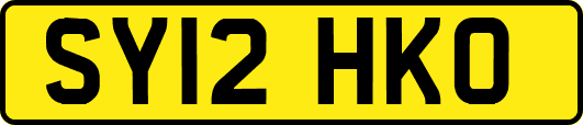 SY12HKO