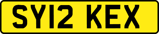 SY12KEX