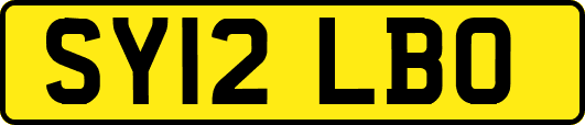 SY12LBO