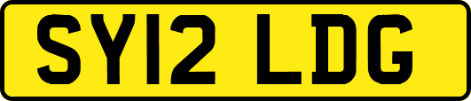 SY12LDG
