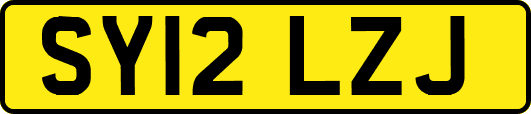 SY12LZJ