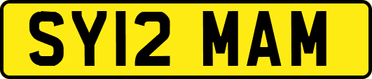 SY12MAM