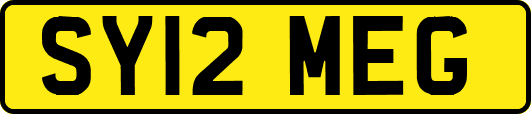 SY12MEG
