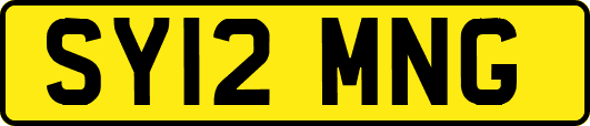 SY12MNG