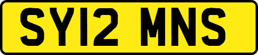SY12MNS