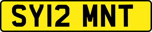 SY12MNT