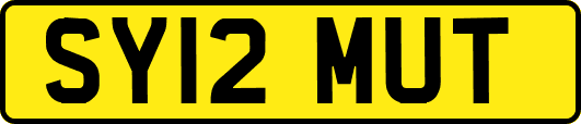 SY12MUT