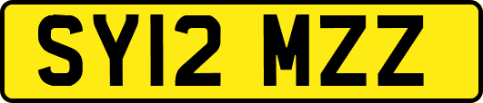SY12MZZ